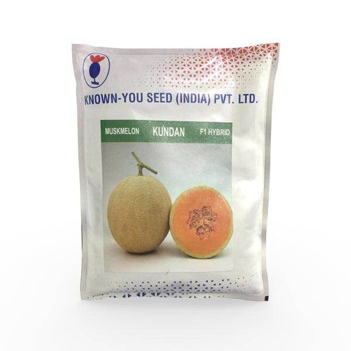 Kundan/कुंदन Muskmelon (Known You Seeds) - Farmers Stop
