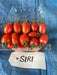 SIRI F1 Hybrid Cherry Tomato (Known You Seeds) - Farmers Stop
