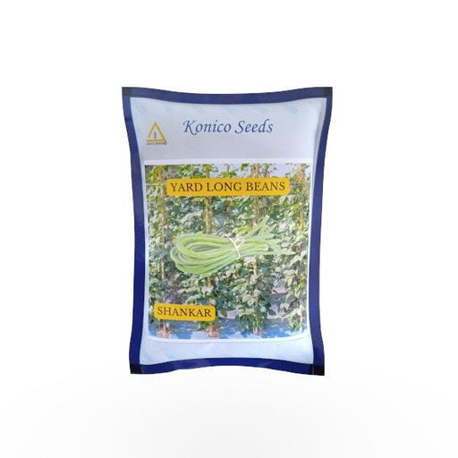 Shankar - Yard Long Beans (Konico Seeds, India) - Farmers Stop