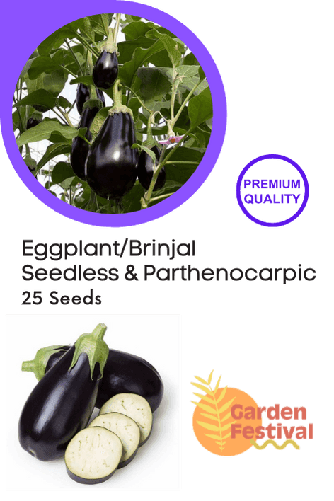 Seedless Parthenocarpic Eggplant F1 Hybrid - Farmers Stop