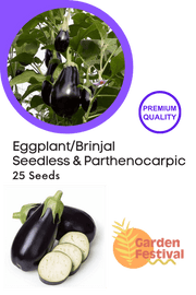 Seedless Parthenocarpic Eggplant F1 Hybrid - Farmers Stop