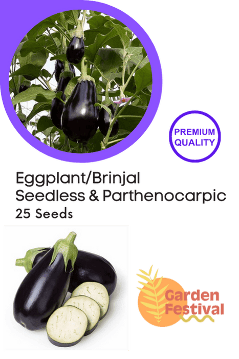 Seedless Parthenocarpic Eggplant F1 Hybrid - Farmers Stop