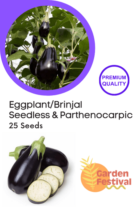 Seedless Parthenocarpic Eggplant F1 Hybrid - Farmers Stop
