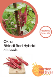 Okra - Bhindi Red Hybrid (Garden Festival) - Farmers Stop