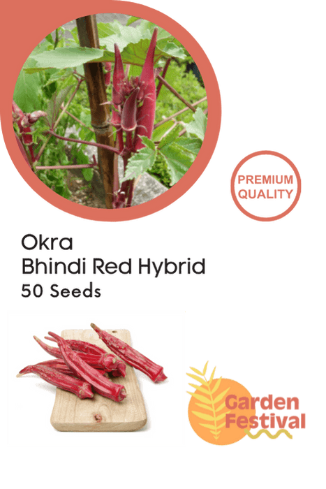 Okra - Bhindi Red Hybrid (Garden Festival) - Farmers Stop