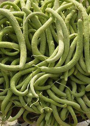 Kakadi - Hybrid Quality (Garden Festival) - Farmers Stop