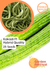 Kakadi - Hybrid Quality (Garden Festival) - Farmers Stop