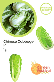 Chinese Cabbage Hybrid (Garden Festival) - Farmers Stop