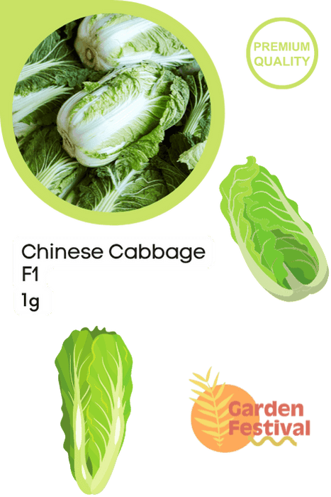 Chinese Cabbage Hybrid  (Garden Festival) - Farmers Stop