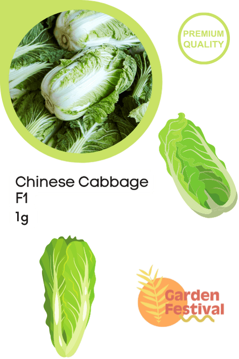 Chinese Cabbage Hybrid  (Garden Festival) - Farmers Stop