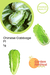 Chinese Cabbage Hybrid  (Garden Festival) - Farmers Stop