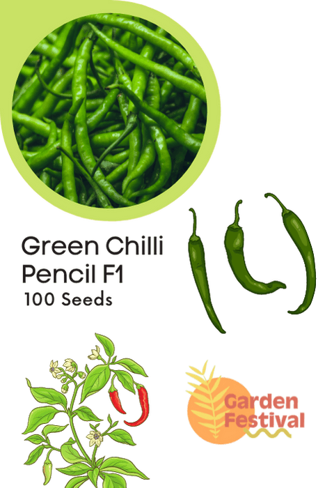 Pencil type Green Chilli Hybrid F1 Seeds - Farmers Stop