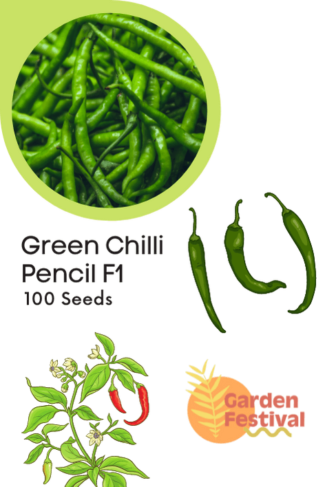 Pencil type Green Chilli Hybrid F1 Seeds - Farmers Stop