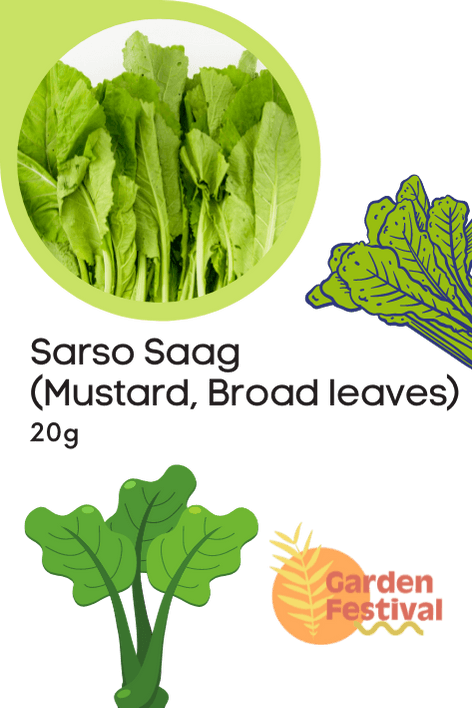Sarso Saag (Mustard, Broad leaves) Seeds - Farmers Stop