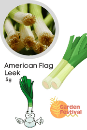 Imported Leek American Flag Seeds for Quality Produce - Farmers Stop