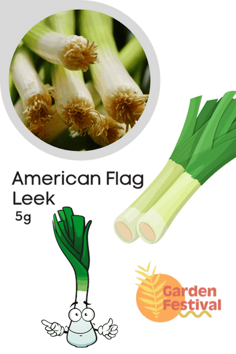 Imported Leek American Flag Seeds for Quality Produce - Farmers Stop