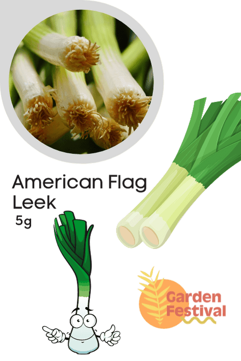 Imported Leek American Flag Seeds for Quality Produce - Farmers Stop