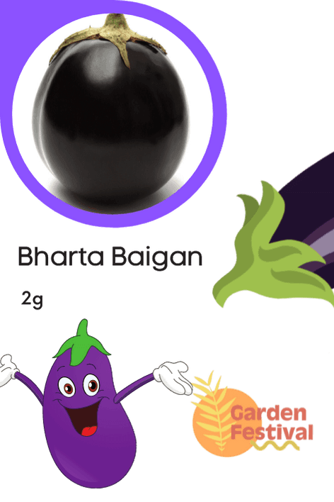 Bharta Baigan Hybrid Quality Seed (Garden Festival) - Farmers Stop