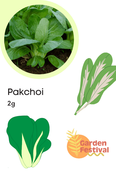 Pakchoi F1 Hybrid Quality Seeds - Farmers Stop