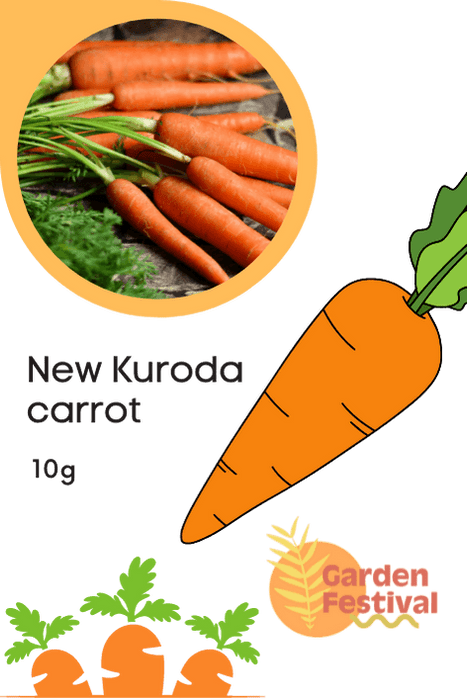 Kuroda Type Best Quality Carrot - Farmers Stop