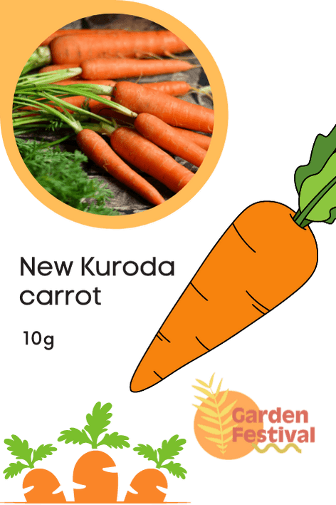 Kuroda Type Best Quality Carrot - Farmers Stop