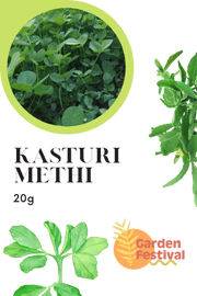 Kasturi Methi (Fenugreek) Desi Quality Seeds - Farmers Stop