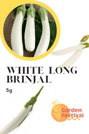 White Long Brinjal Best Quality Seeds - Farmers Stop