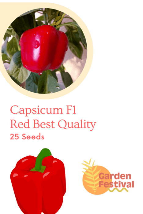 Capsicm Red Best Quality Hybrid F1 Seeds  (Garden Festival) - Farmers Stop