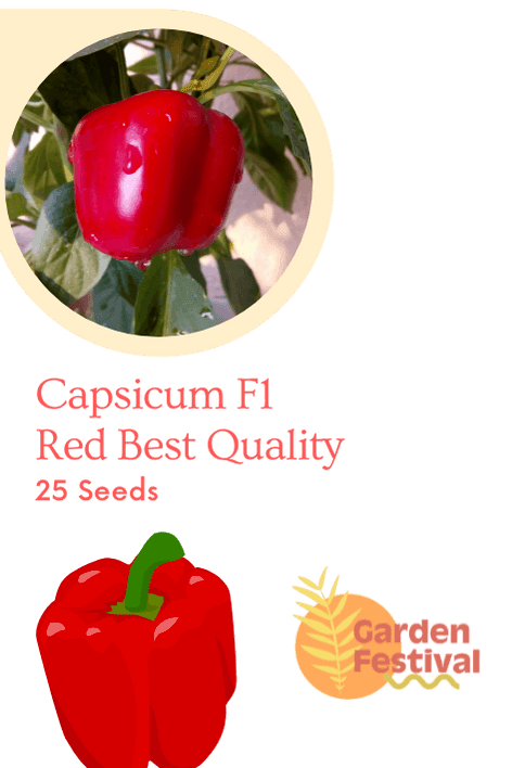 Capsicm Red Best Quality Hybrid F1 Seeds (Garden Festival) - Farmers Stop