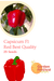 Capsicm Red Best Quality Hybrid F1 Seeds  (Garden Festival) - Farmers Stop