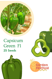 Capsicum Green Best Quality Hybrid F1 Seeds (Garden Festival) - Farmers Stop