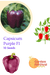 Capsicm Purple Best Quality Hybrid F1 Seeds  (Garden Festival) - Farmers Stop