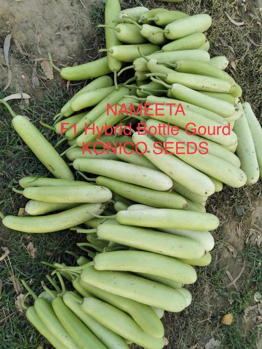 NAMEETA F1 HYBRID BOTTLE GOURD (KONICO SEEDS) - Farmers Stop