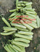 NAMEETA F1 HYBRID BOTTLE GOURD (KONICO SEEDS) - Farmers Stop