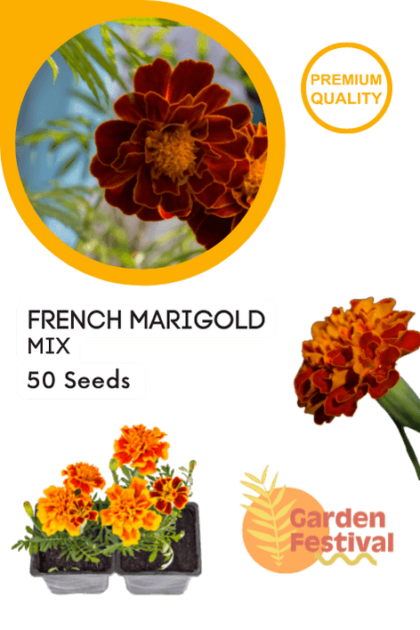 French Marigold Mix (Garden Festival) - Farmers Stop