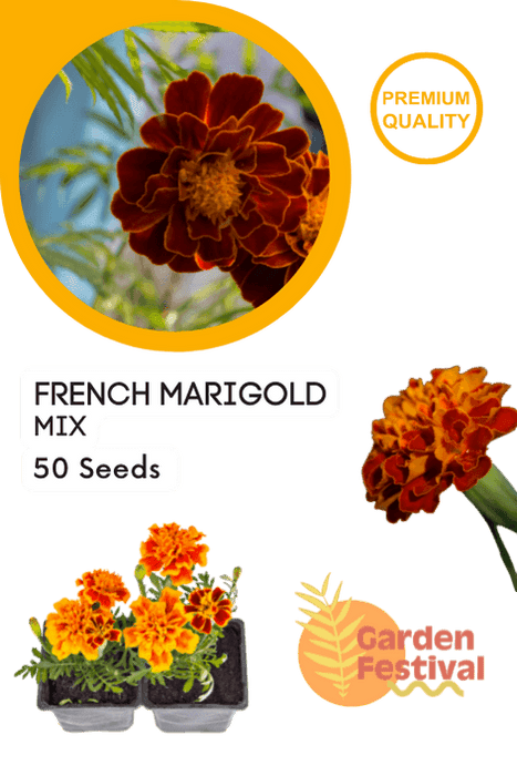 French Marigold Mix (Garden Festival) - Farmers Stop