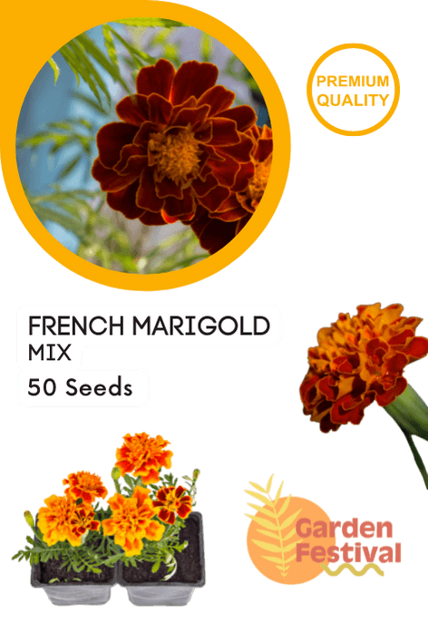 French Marigold Mix (Garden Festival) - Farmers Stop