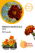 French Marigold Mix (Garden Festival) - Farmers Stop