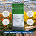 Mega Revolution™ Select Mix Gerbera (PanAmerican Seeds) - Farmers Stop