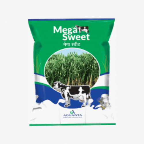 Forage Seeds