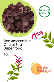 Superfood Red Amaranthus Lal Cholai Sag Seeds - Farmers Stop