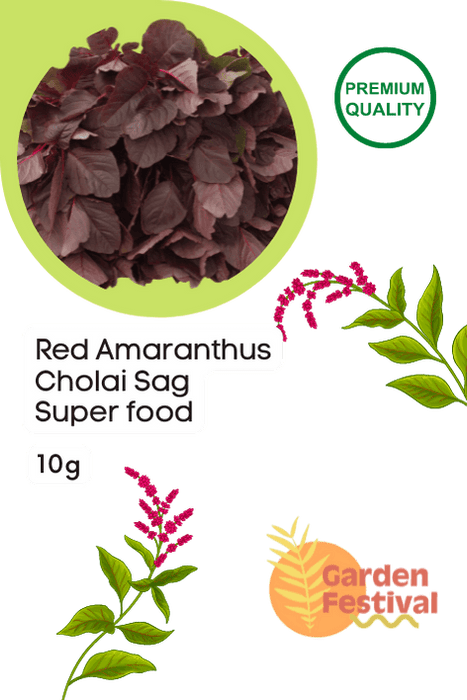 Superfood Red Amaranthus Lal Cholai Sag Seeds - Farmers Stop