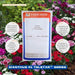 Dianthus F1 Telstar™ Series (Takii Seeds) - Farmers Stop