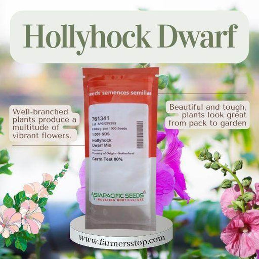Hollyhock Dwarf Mix (AsiaPacific Seeds, New Zealand) - Farmers Stop