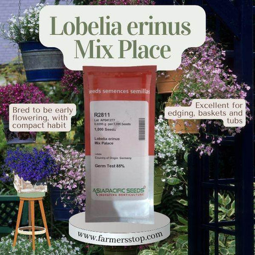 Lobelia erinus Mix Place (AsiaPacific Seeds, New Zealand) - Farmers Stop