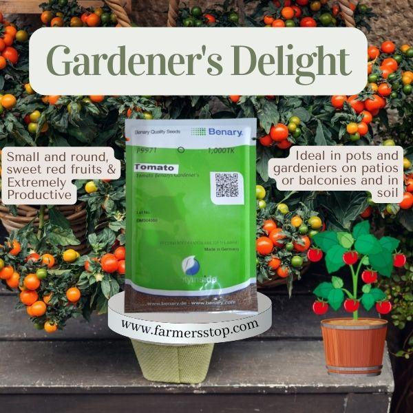 Gardener's Delight Benary Tomato (Benary Seeds) - Farmers Stop