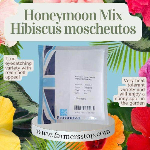 Honeymoon Mix Hibiscus moscheutos (floranova/ASIAPACIFIC) - Farmers Stop