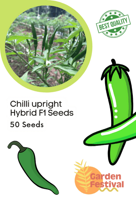 Chilli upright Hybrid F1 Seeds  (Garden Festival) - Farmers Stop