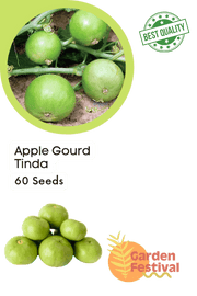 Apple Gourd/Tinda Desi (Garden Festival) - Farmers Stop