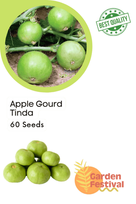Apple Gourd/Tinda Desi (Garden Festival) - Farmers Stop